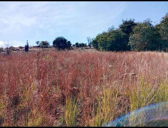 LAND FOR SALE IN VAALOEWER
